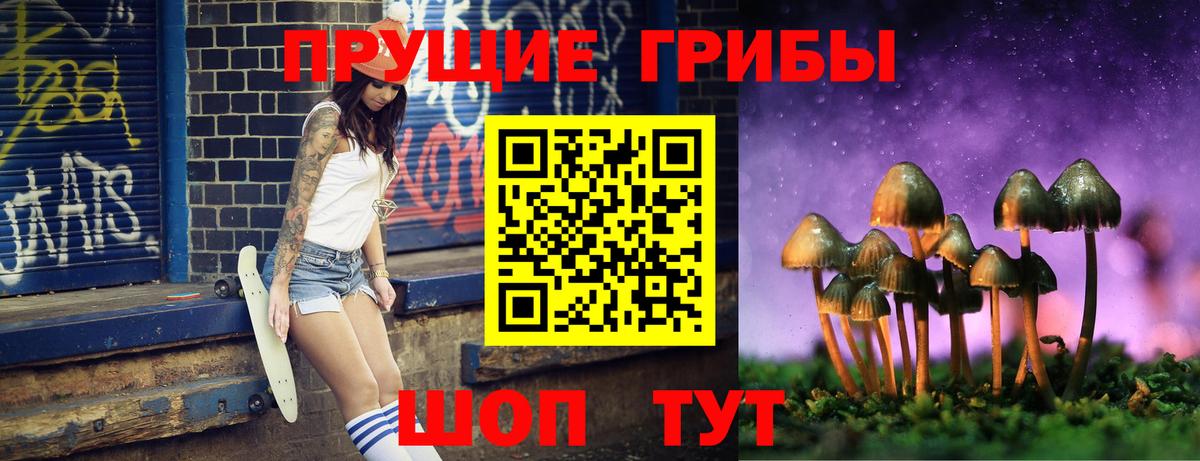 Ртищево  Псилоцибиновые грибы прущие грибы  Вход с VPN 